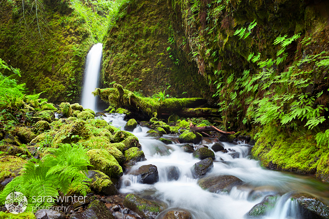 Ruckel Falls