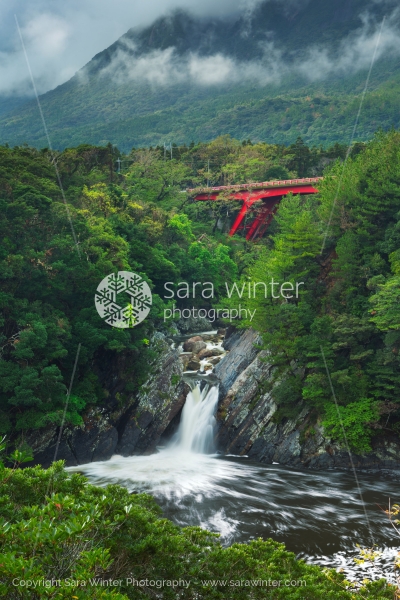 Toroki Waterfall The Toroki Falls on Yakushima Island, Japan | Sara Winter Photography
