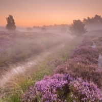 Start of a new photography season