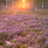 Start of a new photography season