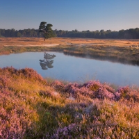 Start of a new photography season