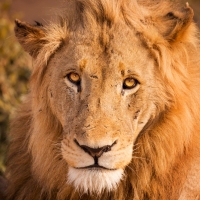 On the road: Kruger National Park