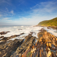 On the road: Addo & Garden Route