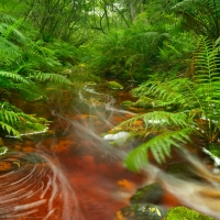 On the road: Addo & Garden Route