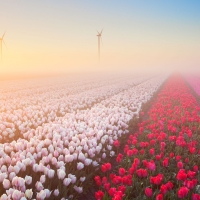 Landscapes of The Netherlands