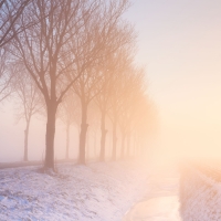 Landscapes of The Netherlands
