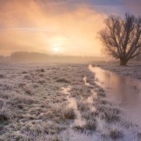 Winter in Het Twiske