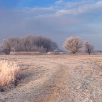 Winter in Het Twiske