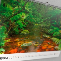 Landscape Calendar 2018